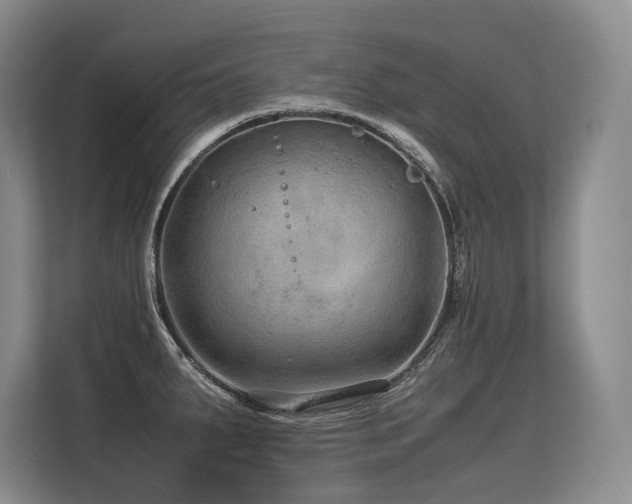 X0000113561287200909181212