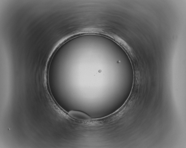 X0000113561288200909181212