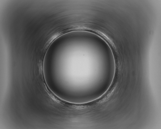 X0000113561289200909181212