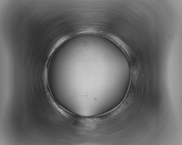 X0000113561290200909181212