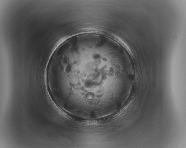 X0000113561291200909181212