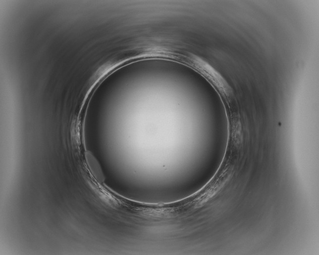 X0000113561292200909181212