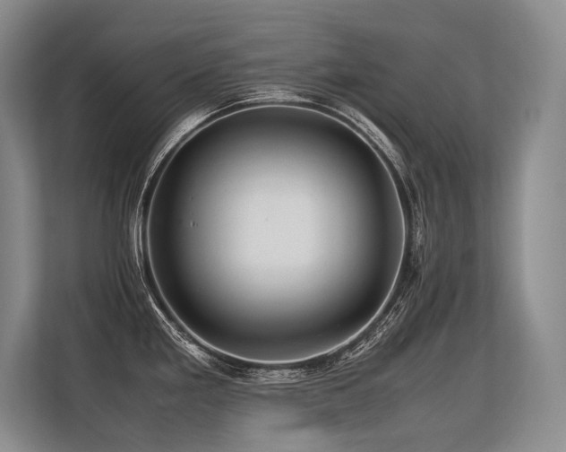 X0000113561293200909181212