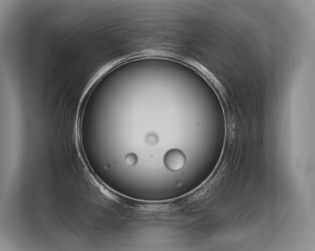 X0000113561294200909181212