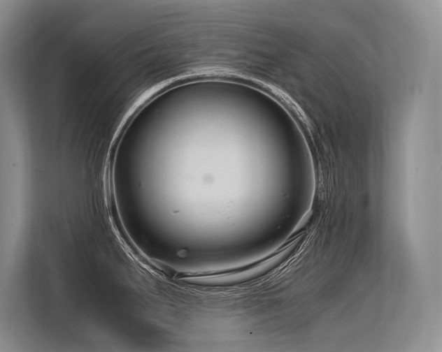 X0000113561295200909181212