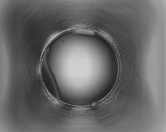 X0000113561296200909181212