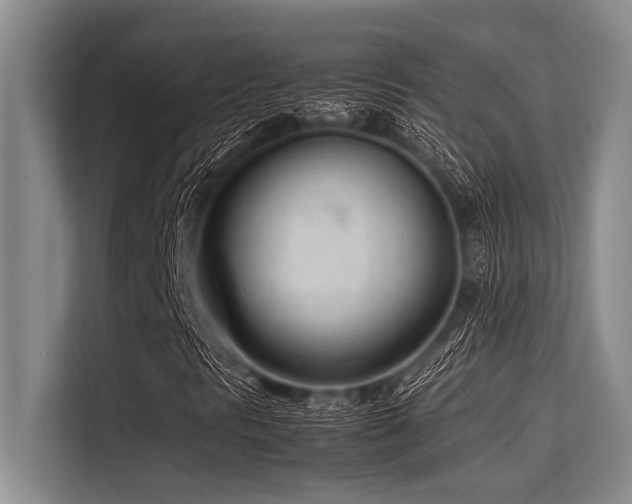 X0000113561297200909181211