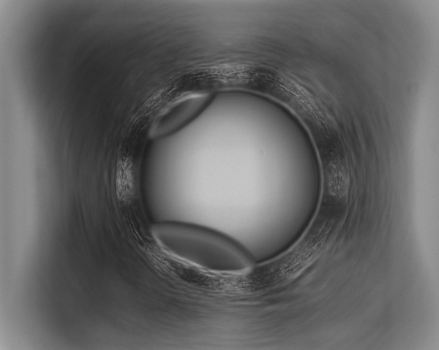 X0000113561298200909181211