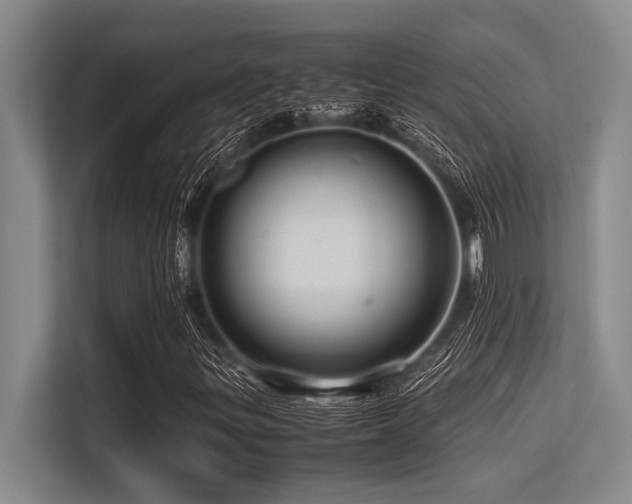 X0000113561299200909181211