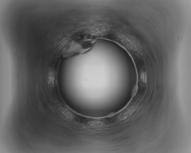 X0000113561300200909181211