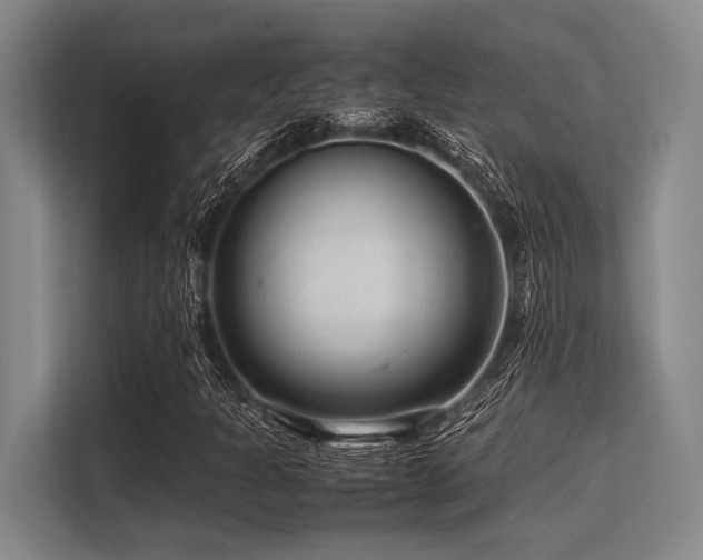 X0000113561301200909181211