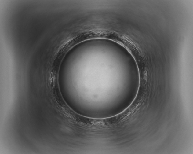 X0000113561302200909181211