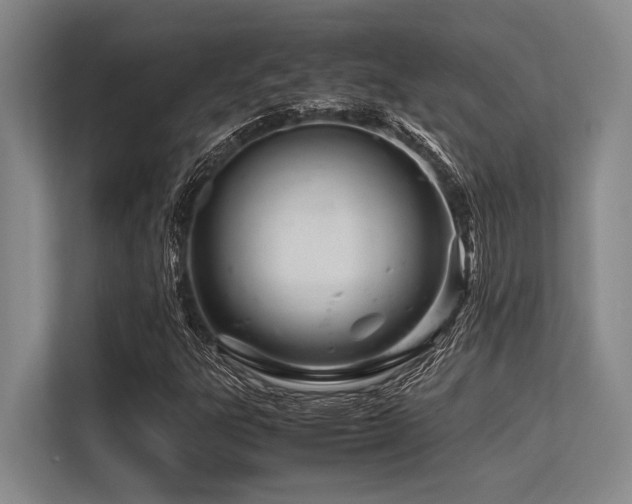 X0000113561303200909181211