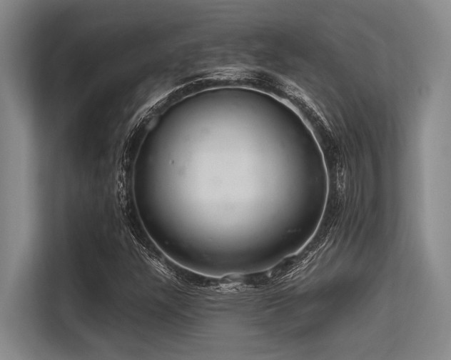 X0000113561304200909181211