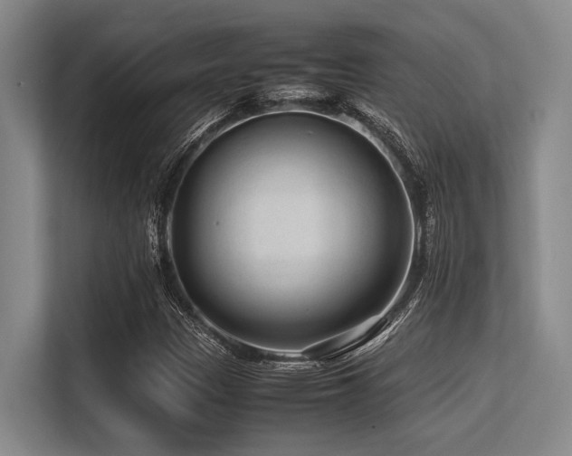 X0000113561305200909181211