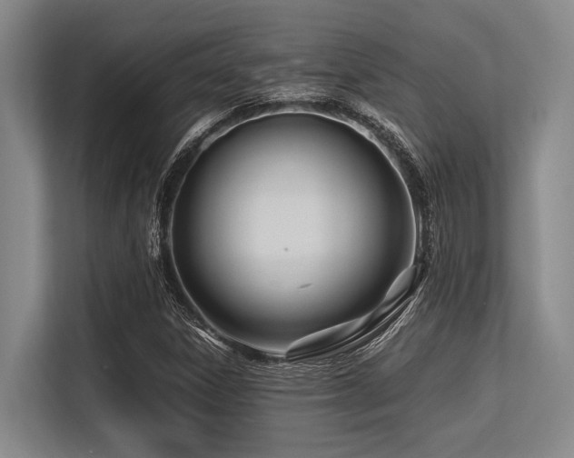 X0000113561306200909181211