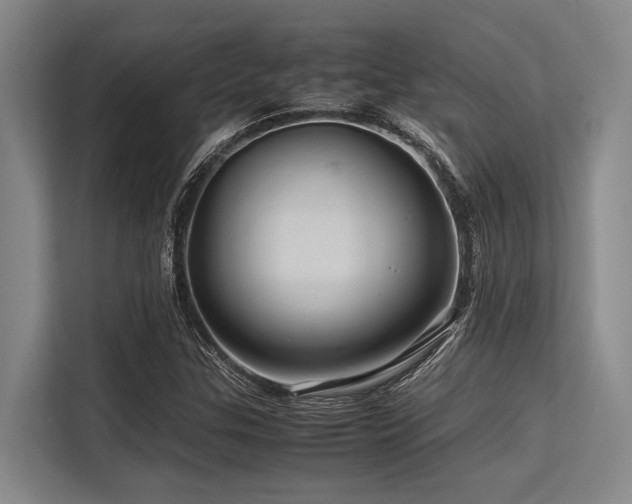 X0000113561307200909181211
