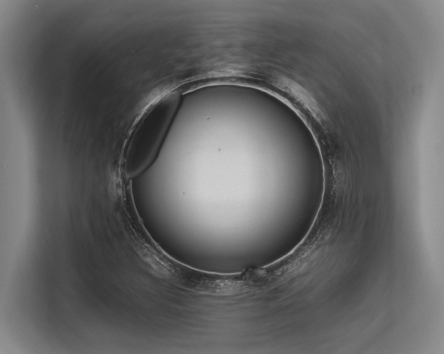 X0000113561308200909181211