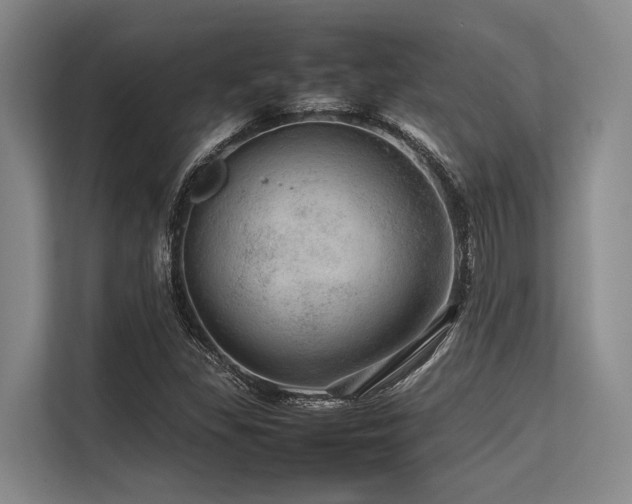 X0000113561309200909181211
