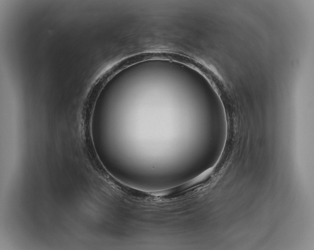 X0000113561311200909181211