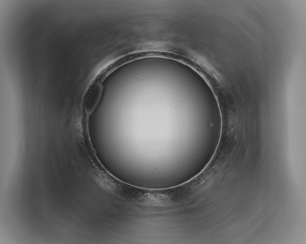 X0000113561312200909181211