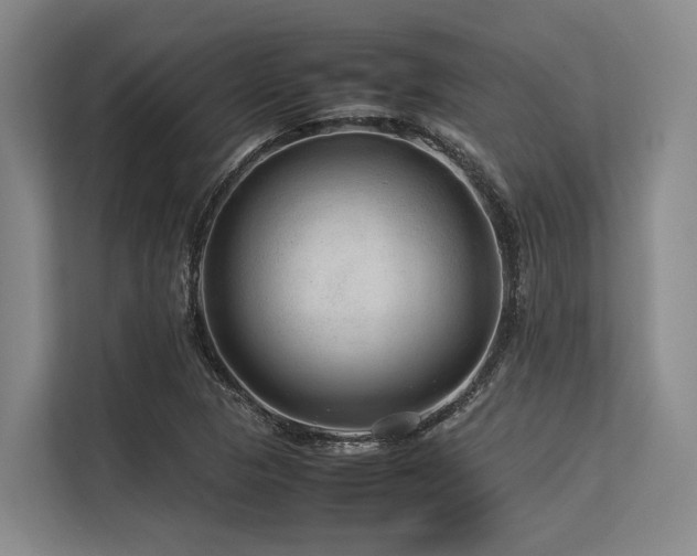 X0000113561313200909181211