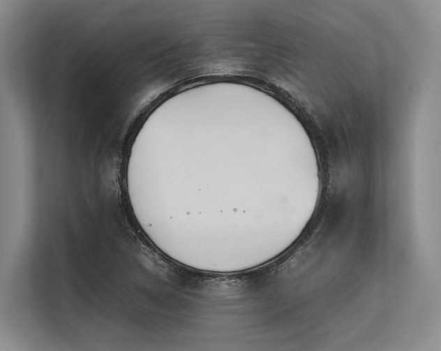 X0000113561314200909181211