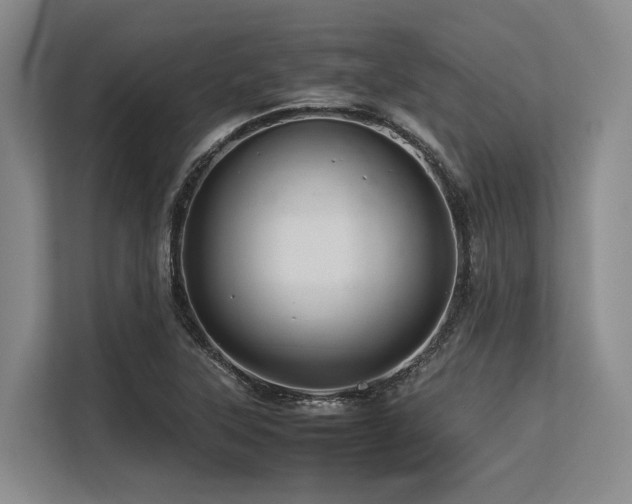 X0000113561315200909181211