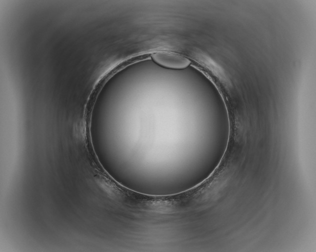 X0000113561316200909181211