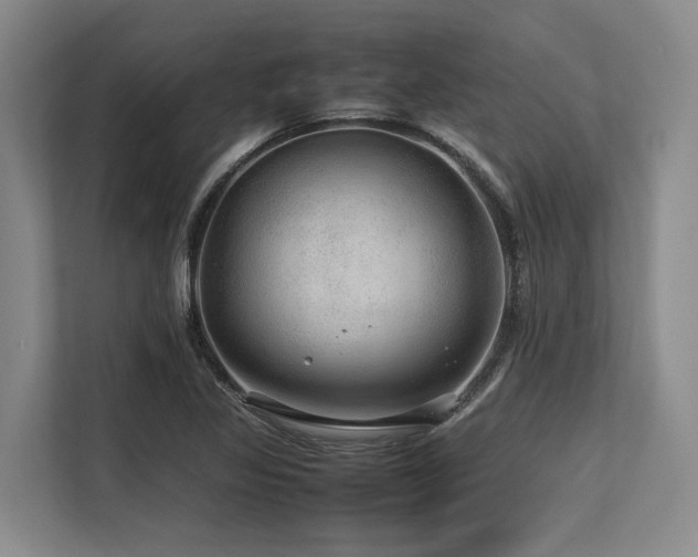 X0000113561317200909181211