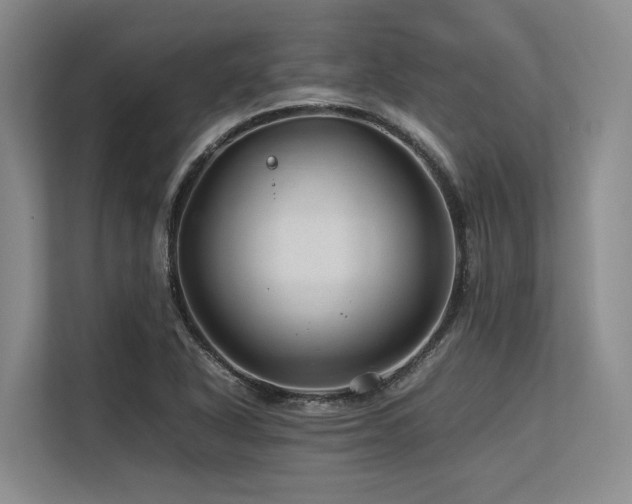 X0000113561318200909181211