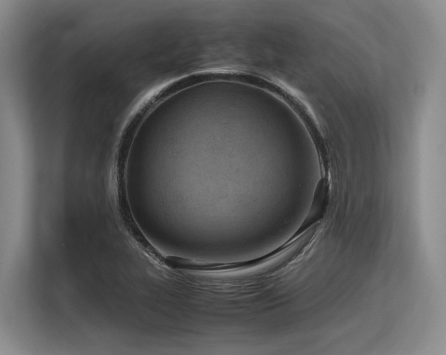 X0000113561319200909181212