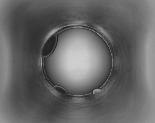 X0000113561320200909181212