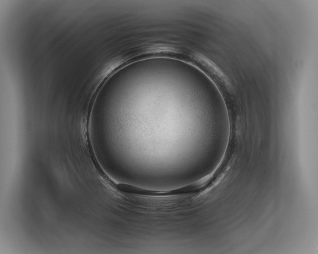 X0000113561321200909181212