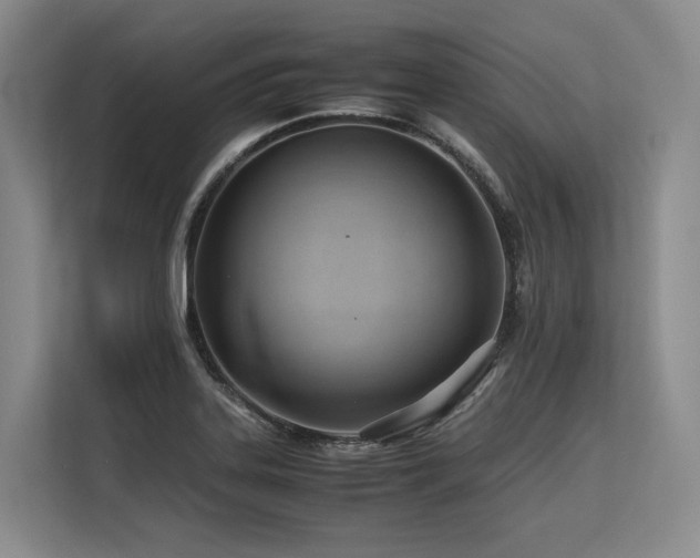 X0000113561323200909181212