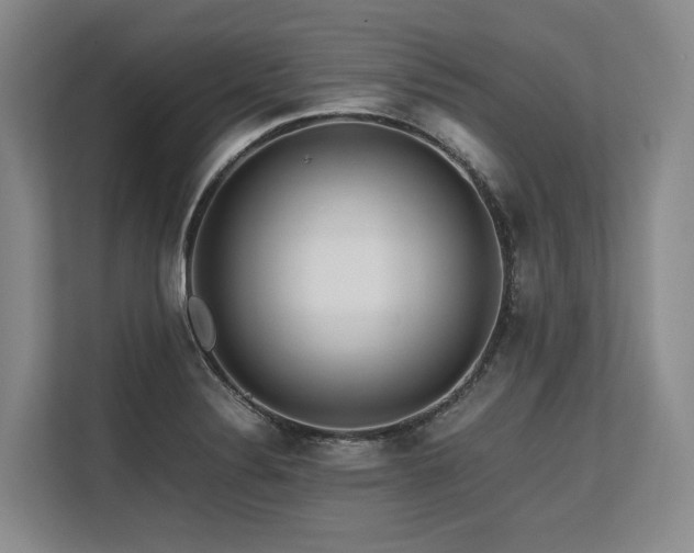 X0000113561324200909181212