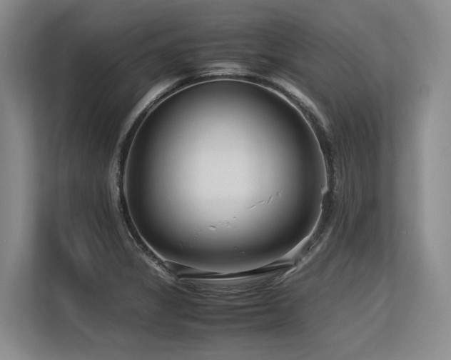 X0000113561325200909181212
