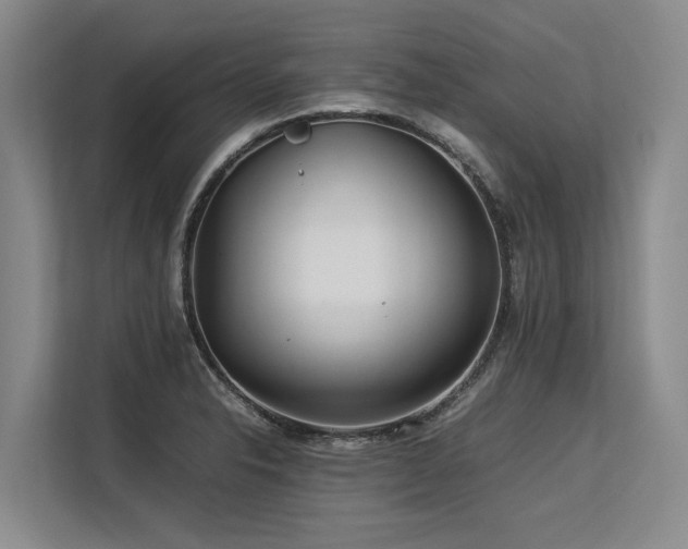 X0000113561326200909181212
