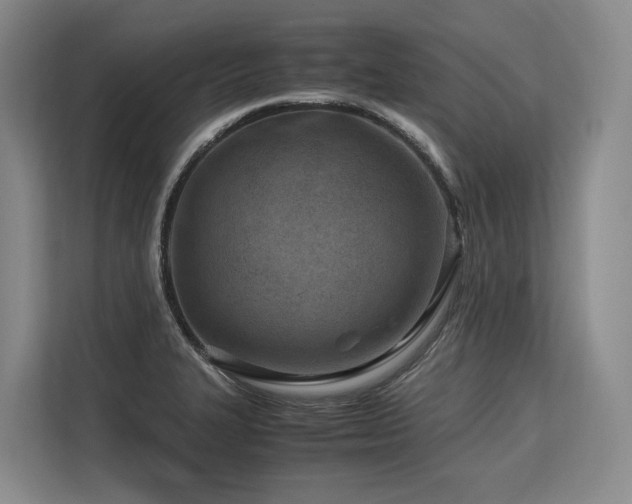 X0000113561327200909181212