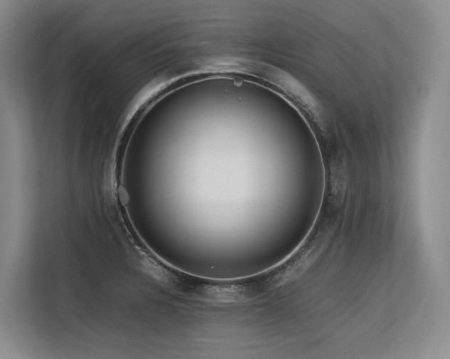 X0000113561328200909181212