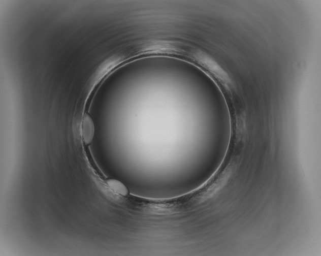 X0000113561330200909181212