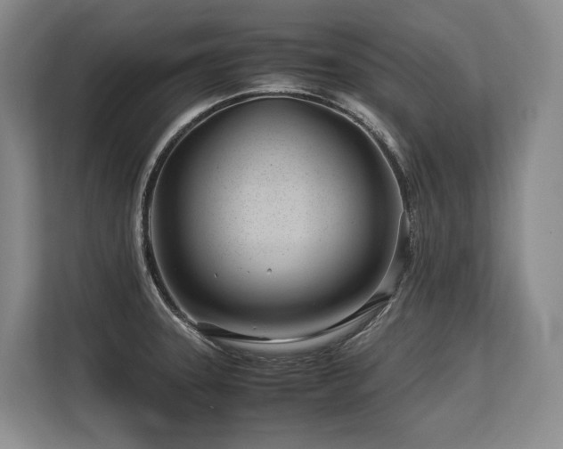 X0000113561331200909181212