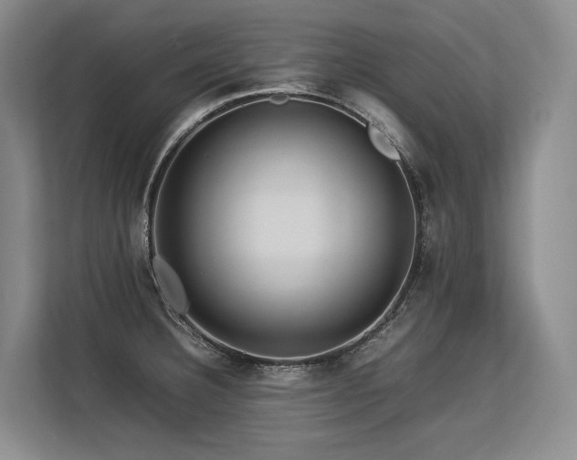 X0000113561332200909181212