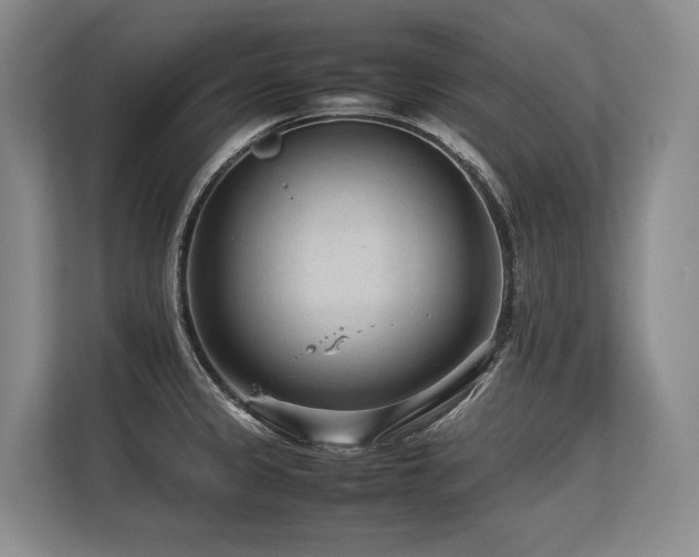 X0000113561333200909181212