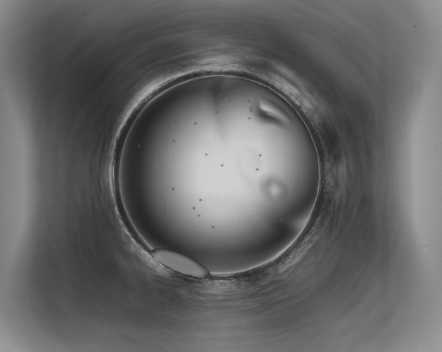 X0000113561334200909181212