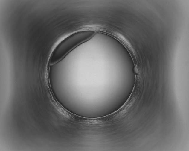 X0000113561336200909181212