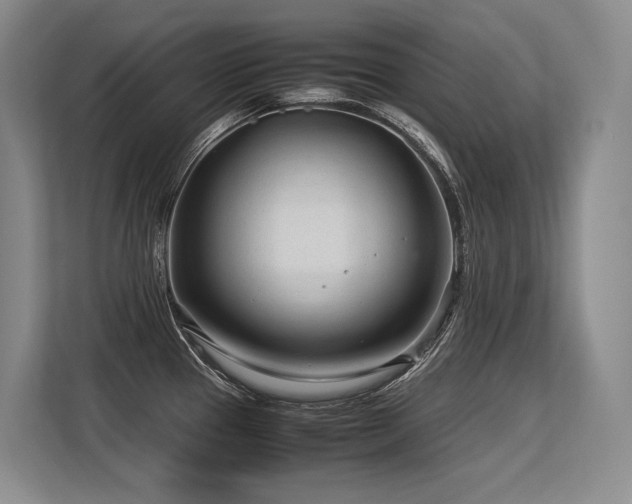 X0000113561337200909181212