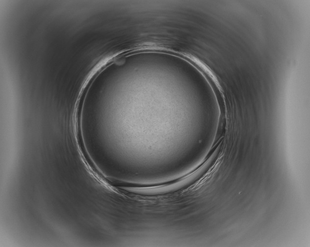 X0000113561341200909181212