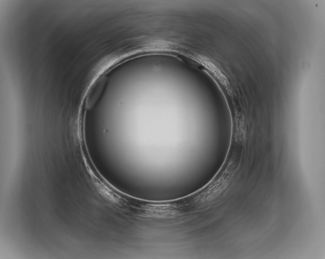 X0000113561342200909181212