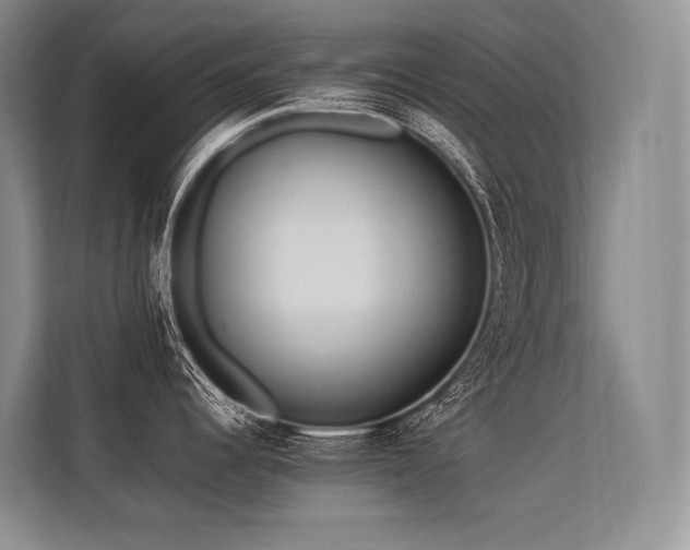 X0000113561344200909181212